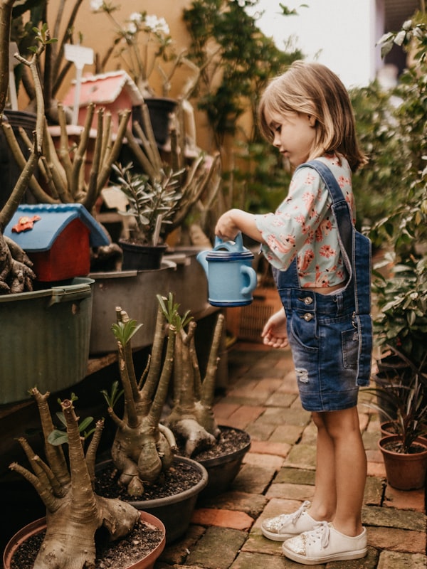 Dino Dungarees in Forest Green
