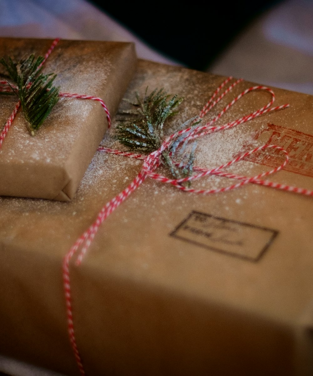 Kraft-paper parcels tied with twine and a sprig of pine, ready to give