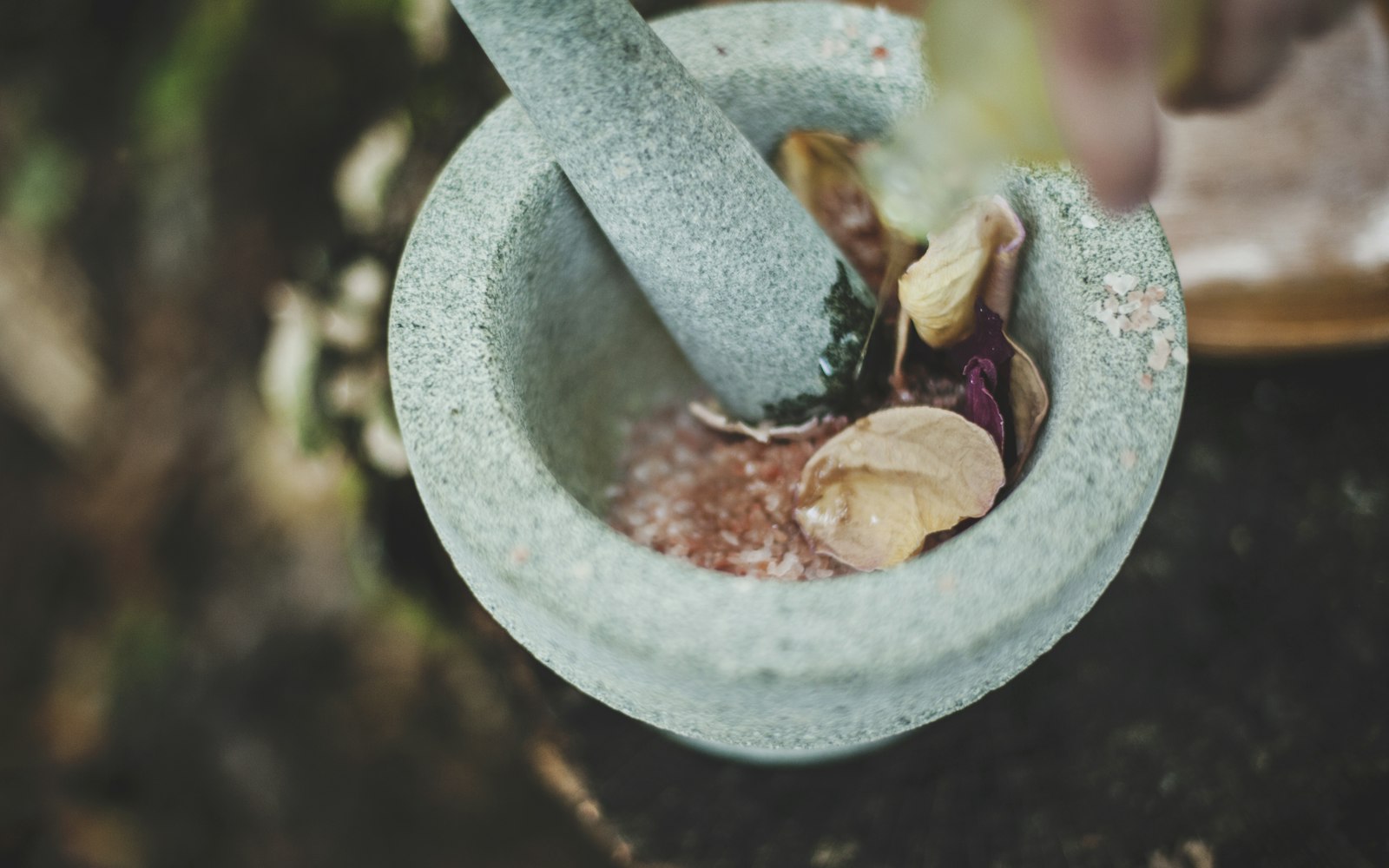 A stone mortar and pestle with botanical petals and roots