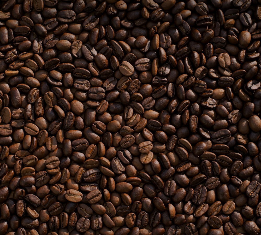 Freshly roasted coffee beans cooling in the Kindred roaster tray