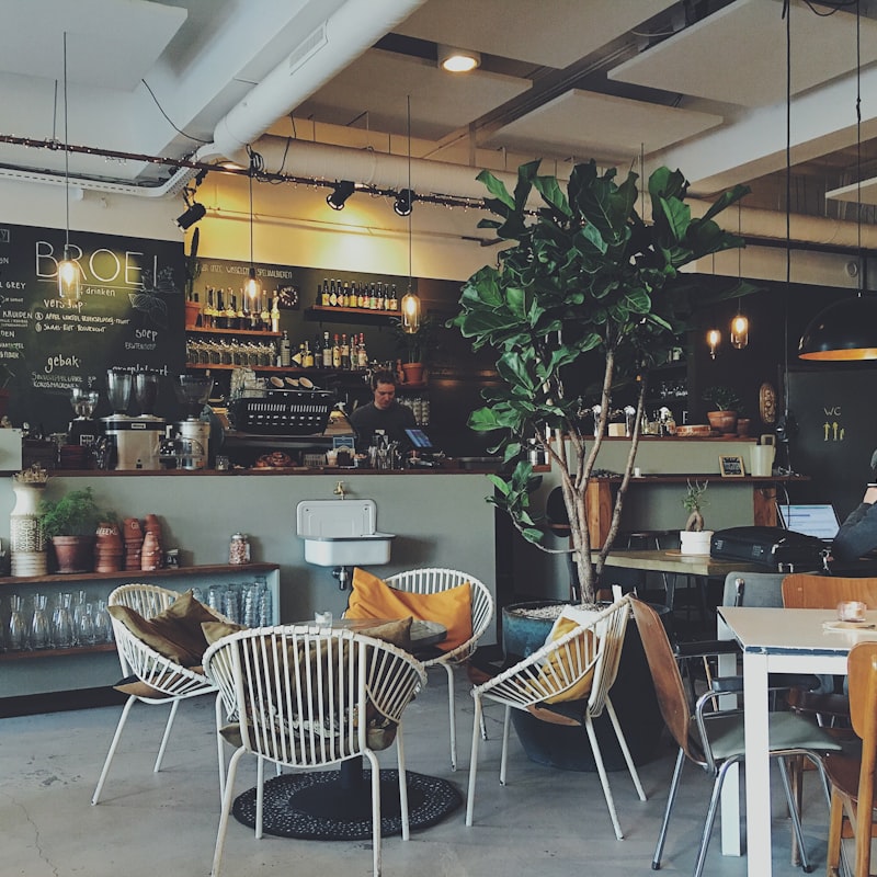 Warm, plant-filled interior of the Kindred Coffee café