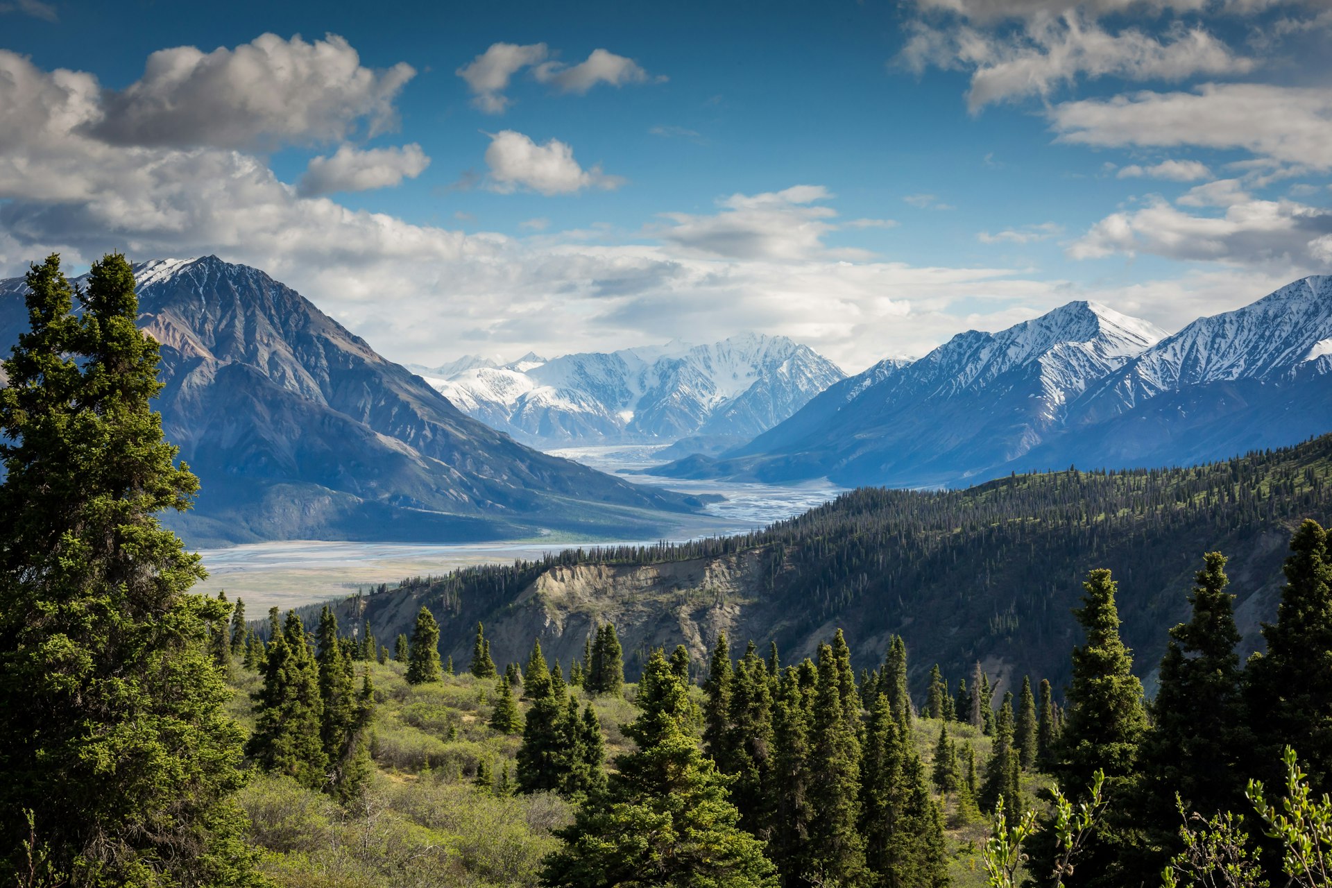 Snow-capped mountain range above a green forested valley at golden hour