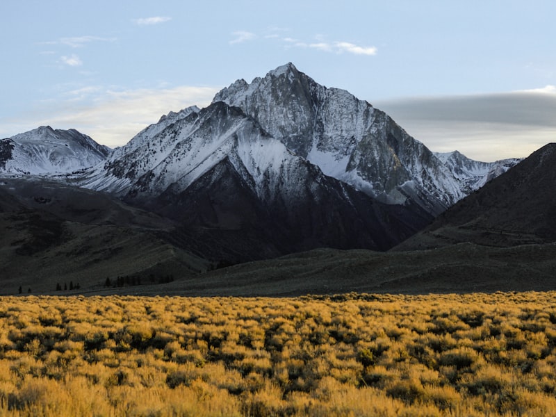 Snow-dusted mountain peak above a wide golden highland meadow at dusk