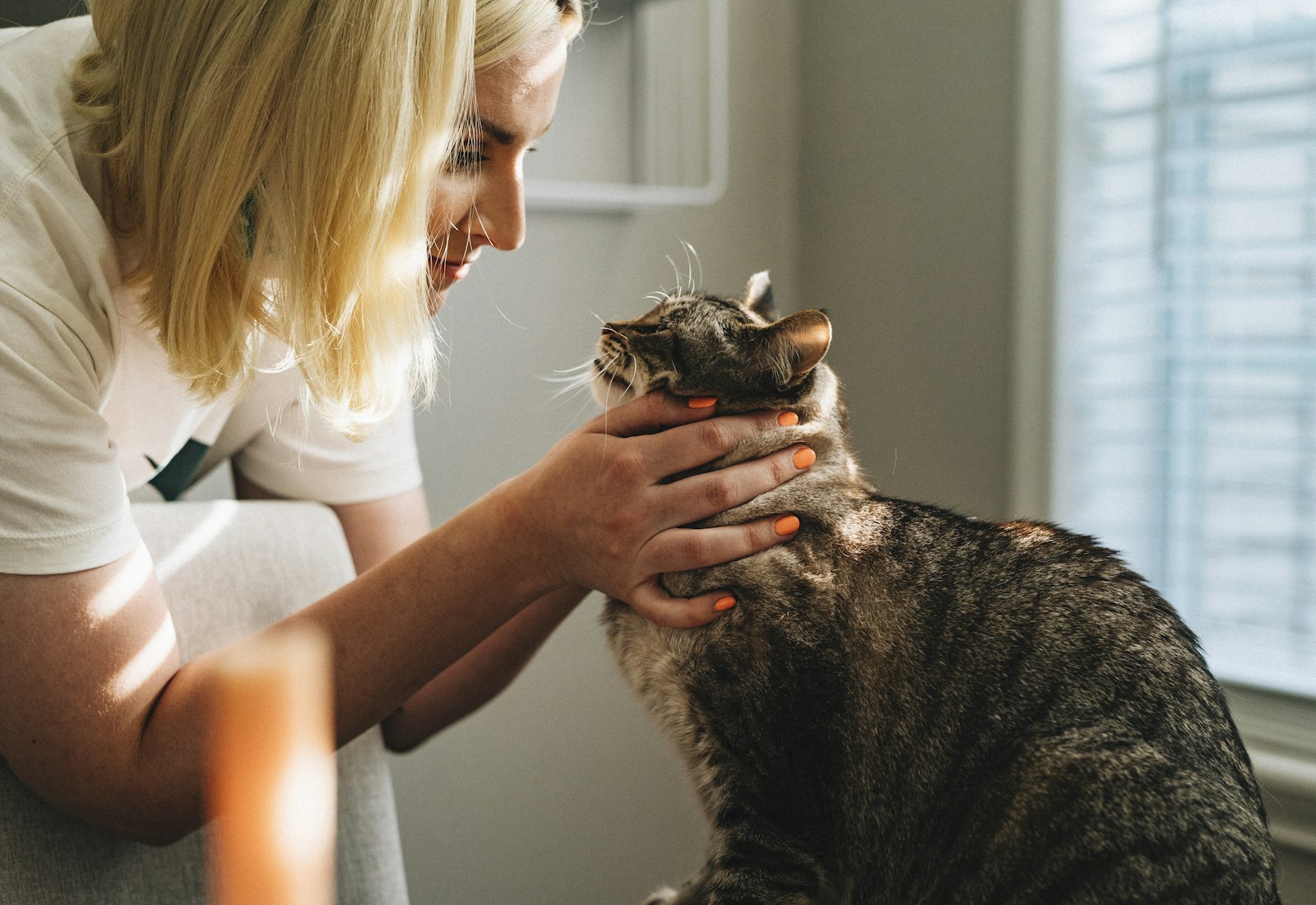 A pet owner gently cradling her tabby cat's face in a sunlit room