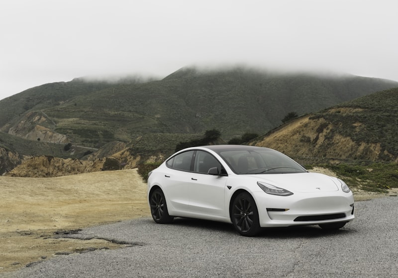 White 2023 Tesla Model 3 sedan parked on a coastal road