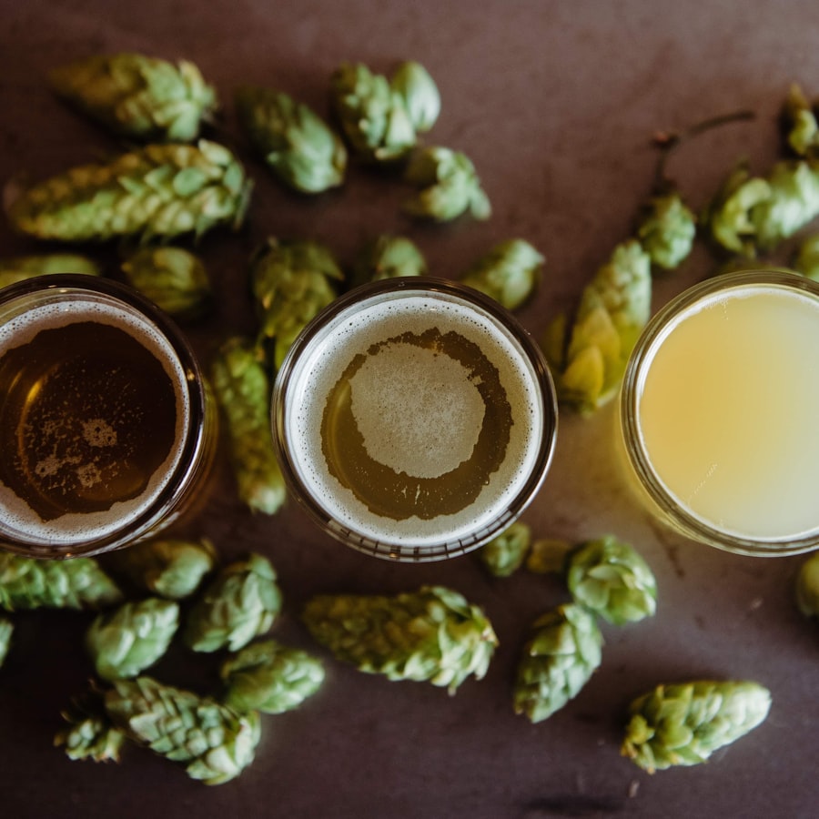 Overhead view of three craft beers surrounded by fresh whole hop cones