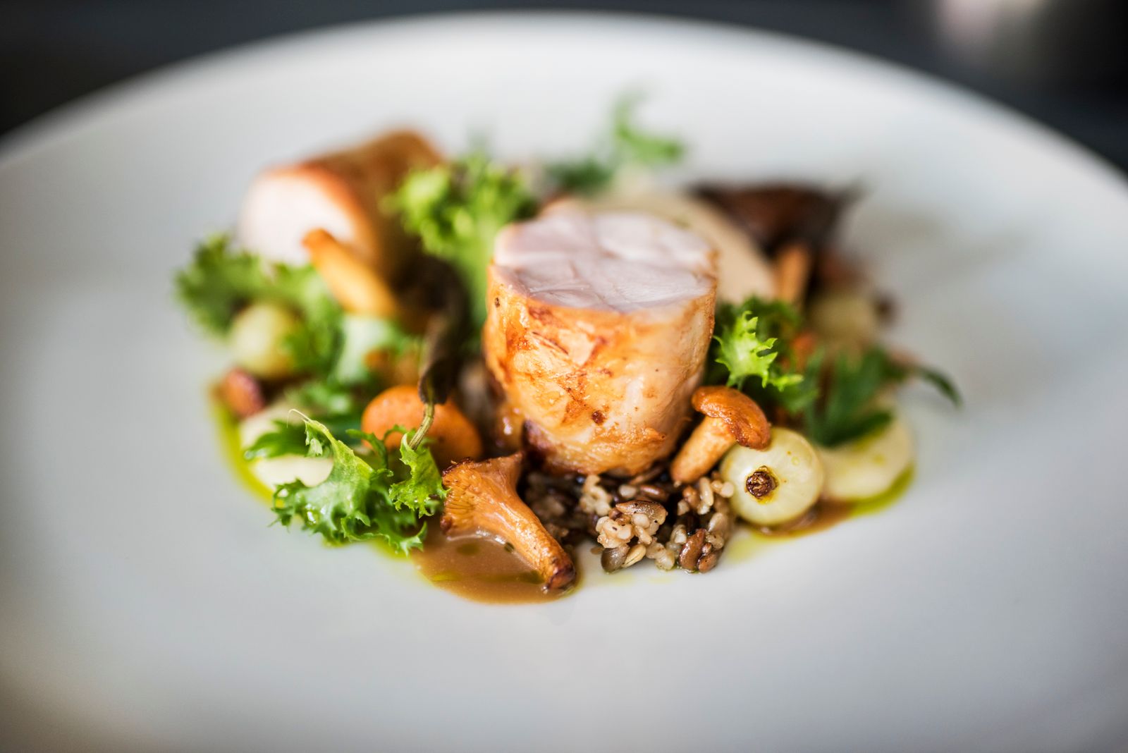 Pork with chanterelles in a shallow bowl