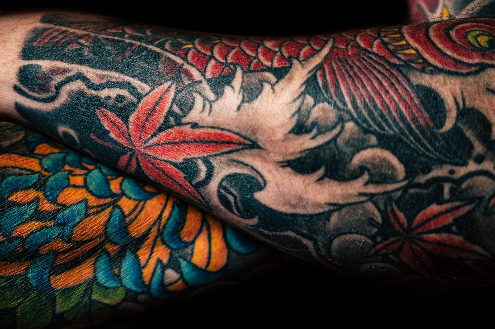 Japanese colour sleeve with maple leaves, close up
