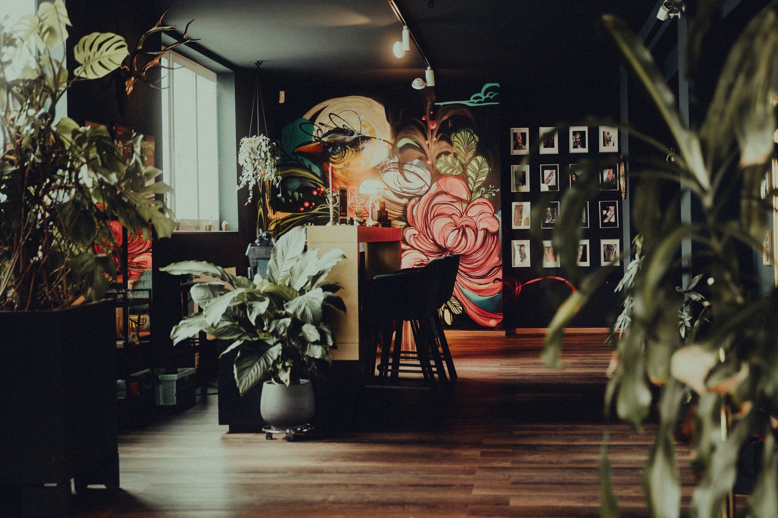 The Tinta studio: dark walls, plants and framed artwork